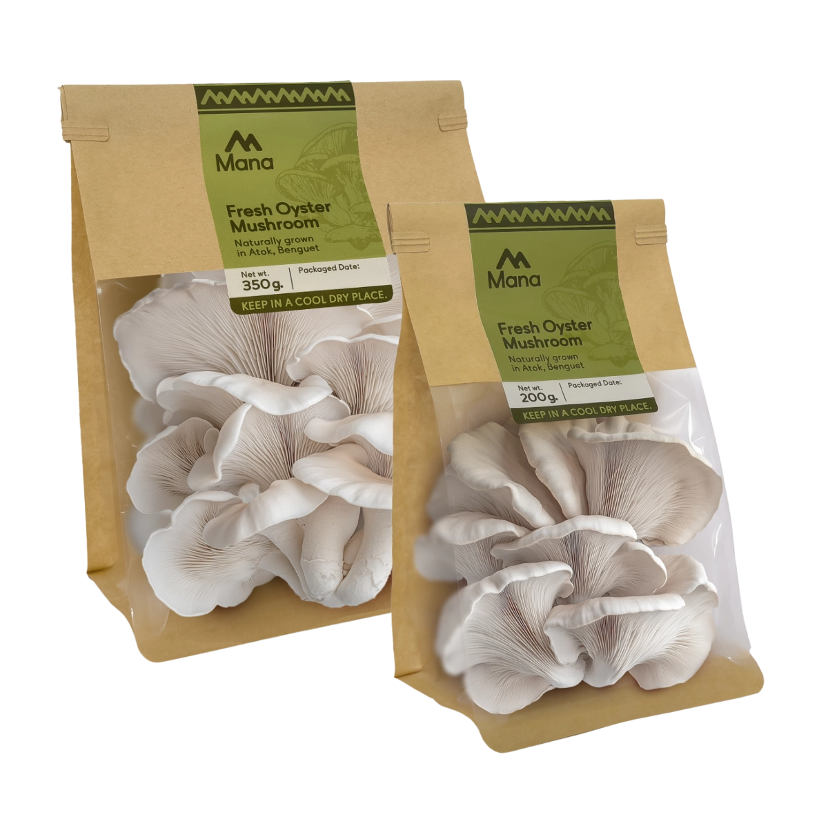 Packaged Fresh Oyster Mushrooms